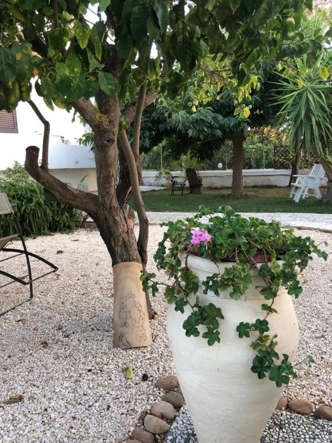 Il Gelso Nella Valle Agrigento Exteriér fotografie